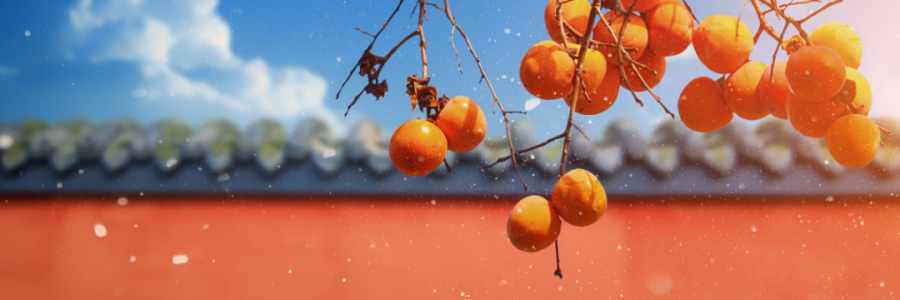 霜降 | 寒霜冬將至，補(bǔ)陽(yáng)須及時(shí)