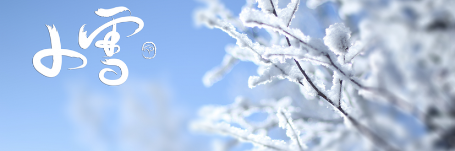 小雪丨雪落天地寒，愿君多珍重