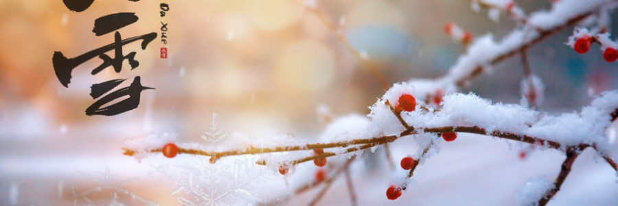 大雪丨 養(yǎng)陰護(hù)陽，君心不忘