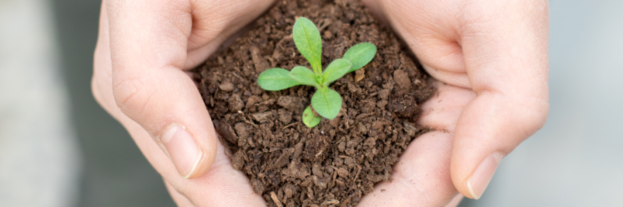 火運不及的癸卯年，亟需補火護陽！