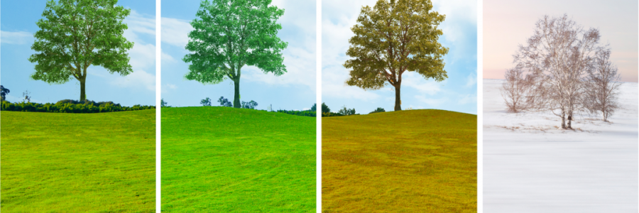 讀懂五臟五行與四季的關(guān)系，養(yǎng)生才算入門……