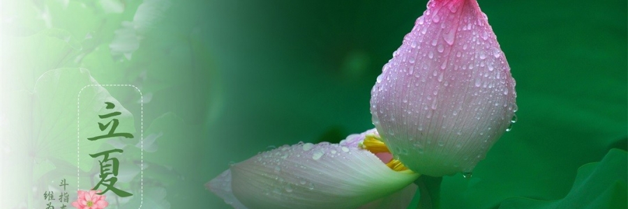 立夏 | 滿園芳立，夏色初染