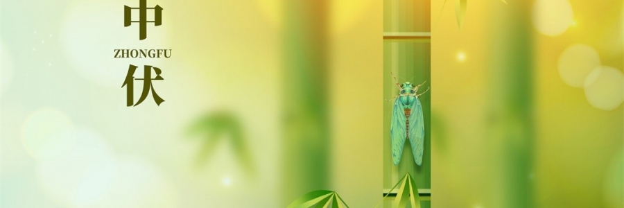 不想越扎越深？ 中伏拔病根，不做病床人！