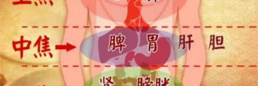 突破600億播放量的《羅剎海市》，竟然還暗藏中醫(yī)奧秘？