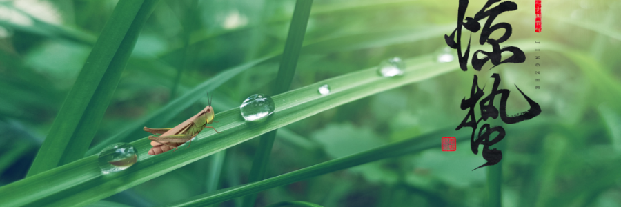 驚蟄丨蓄勢(shì)而蟄，應(yīng)時(shí)而驚