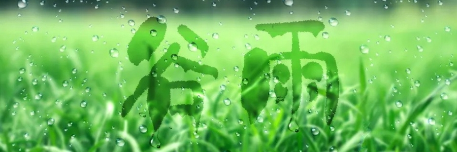 谷雨丨健脾祛濕，安然迎夏