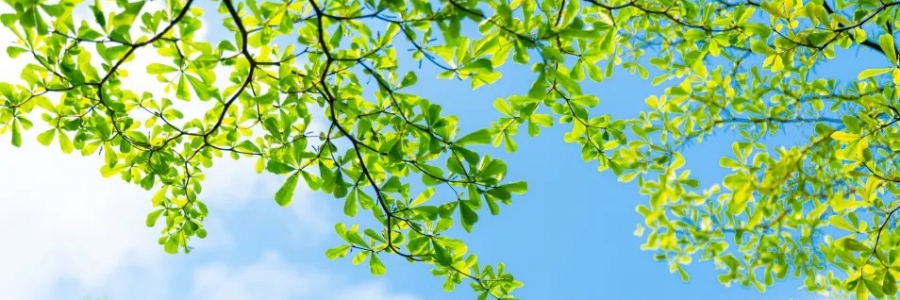 警告：夏天千萬不能做的5件事！快來看看~