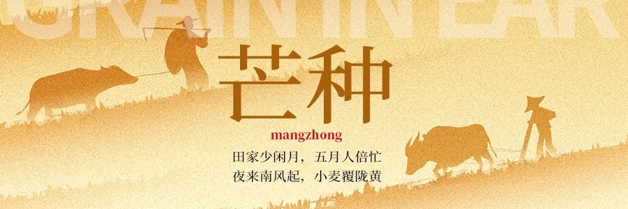 芒種丨“芒”有所獲，“種”有所得