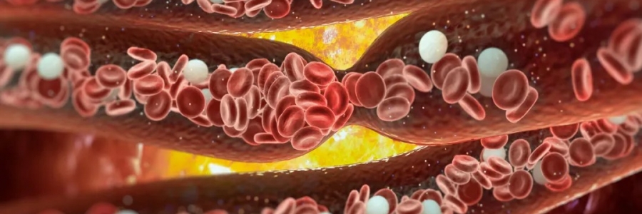 經(jīng)絡(luò)通，百病消！身體經(jīng)絡(luò)通了是什么感覺？