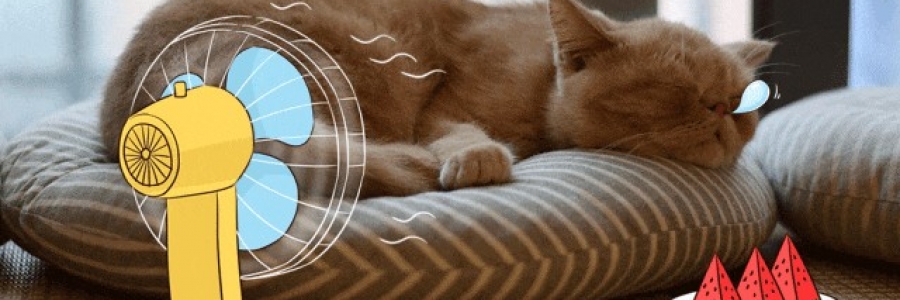 越睡越困的夏天，一個穴位趕走疲倦……