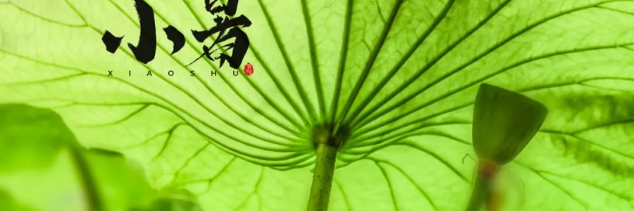 小暑丨避暑養(yǎng)心，準(zhǔn)備入伏