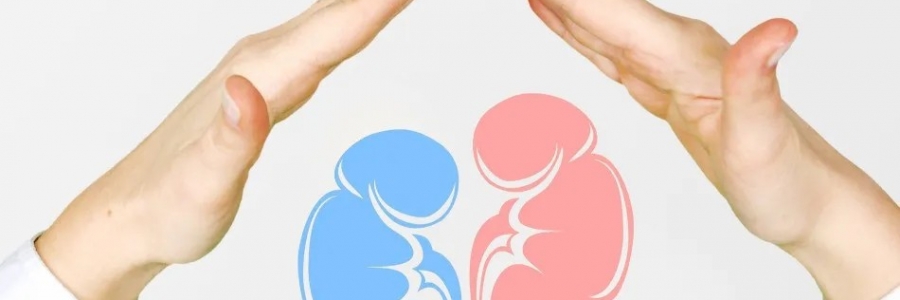 兩個人體的“長壽穴”，每天揉一揉，健康又長壽