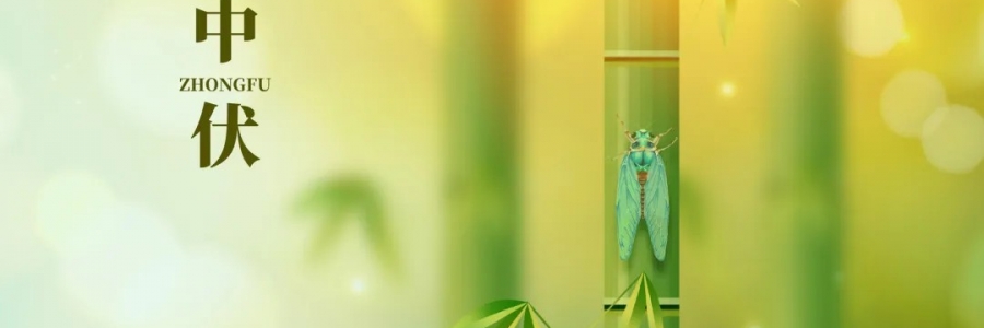 三伏灸丨破三冰，泄三濁，清五毒，祛六淫！