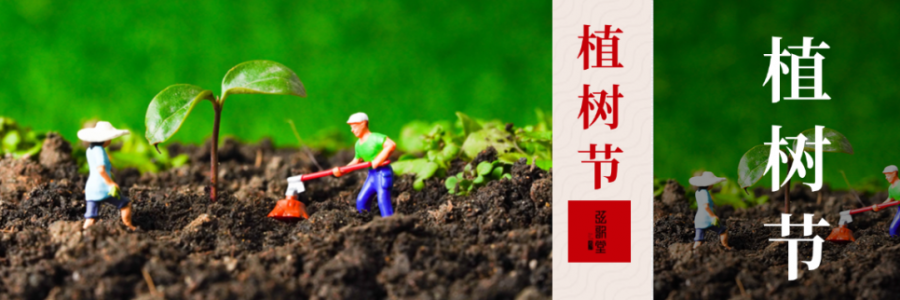 外植綠樹(shù)，內(nèi)養(yǎng)肝木，別忘給身體也“種下”護(hù)肝種子！