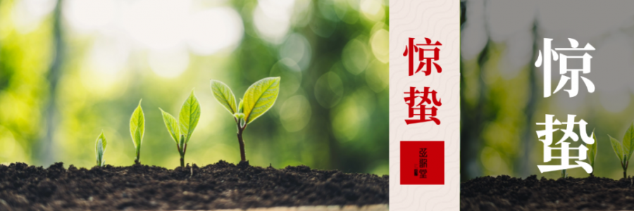 驚蟄 | 驚起春潮，蟄動萬物