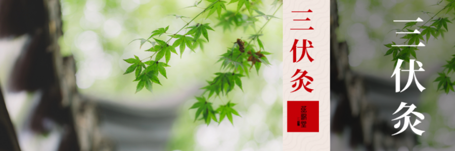 中伏 | 伏藏陽(yáng)，冬不慌！三伏過(guò)半，抓緊養(yǎng)陽(yáng)黃金期