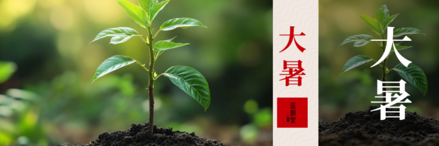 大暑｜極熱濕盛 祛濕固陽(yáng)