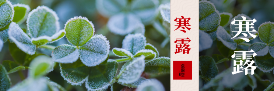 寒露 | 晨露凝寒 溫肺散寒